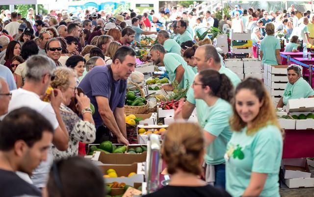 II Feria del Aguacate en Arguineguín