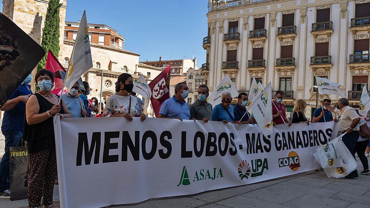 Concentración de las organizaciones agrarias, ayer durante la visita de Hugo Morán a Zamora. | José Luis Fernández