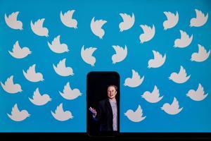 Twitter prohibirà els enllaços a xarxes socials de la competència