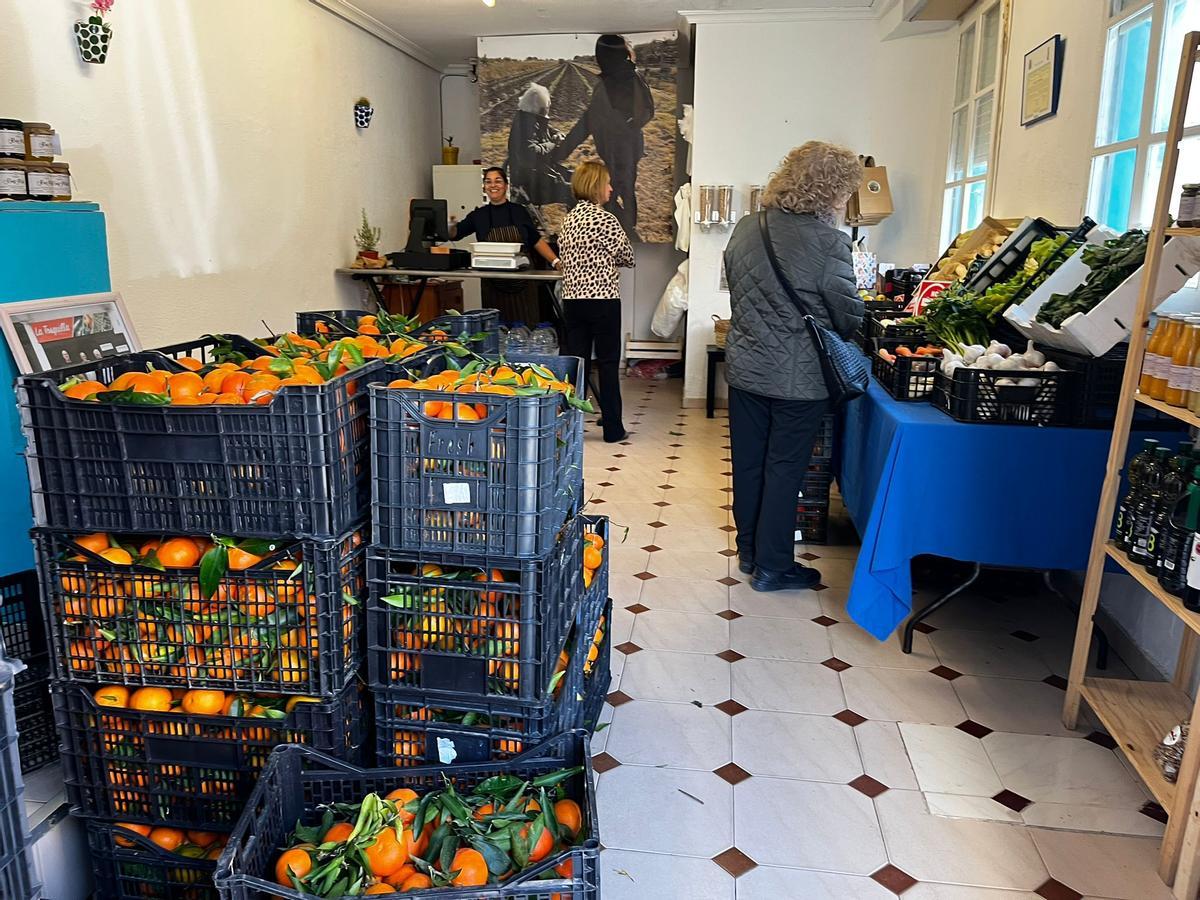 En la Tosquilla de Nules, parte de los cajones de clemenules que iban a ser robados, y que ahora urge vender.