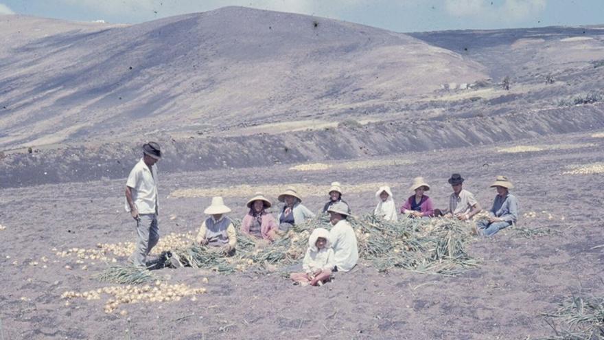 El Cabildo y Los Campesinos buscan fotos y películas antiguas sobre la vida rural en Lanzarote