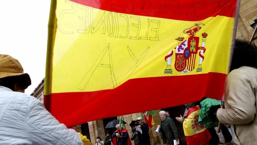 Manifestación con banderas de España en Oviedo