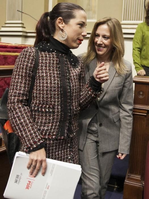 19/01/2017.CANARIAS.Pleno del Parlamento de Canarias..Fotos: Carsten W. Lauritsen