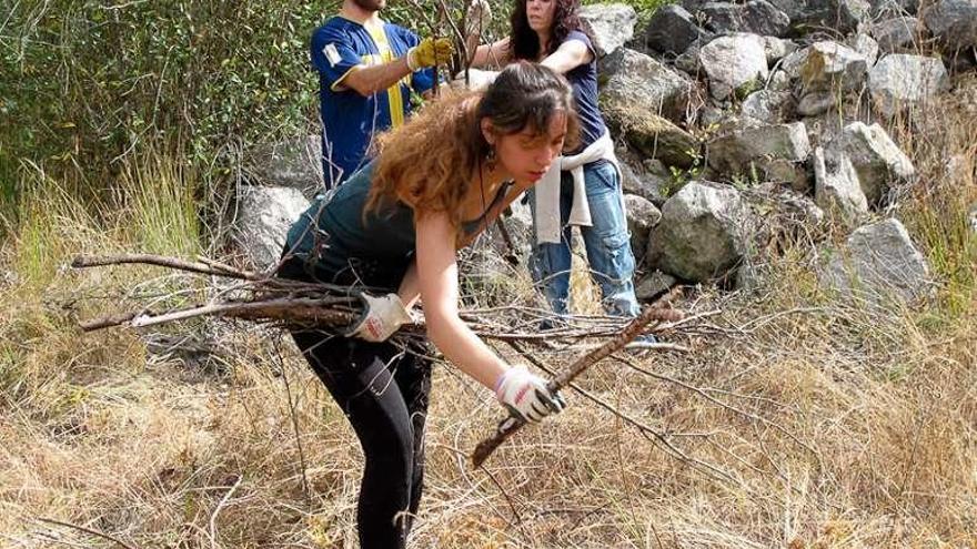 Trabajos de retirada de basuras y restos de una tala.