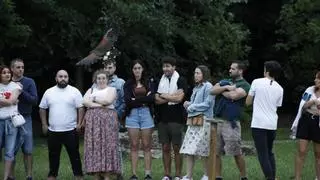 El Jardín Botánico de Gijón vuela en verano: "Poder ver las especies de cerca es algo increíble"