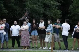 El espectáculo "Nocturnia" en el Botánico de Gijón, en imágenes