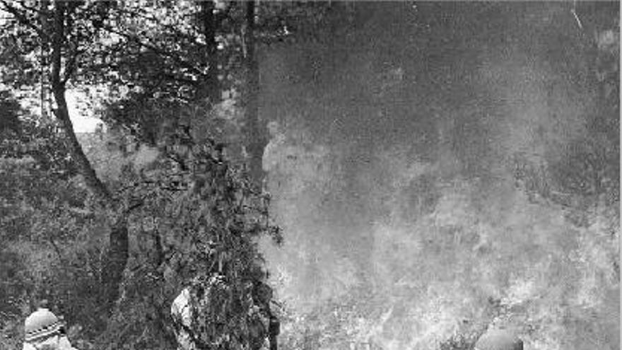 Imagen de archivo de brigadas forestales en la extinción de un incendio en Castelló.