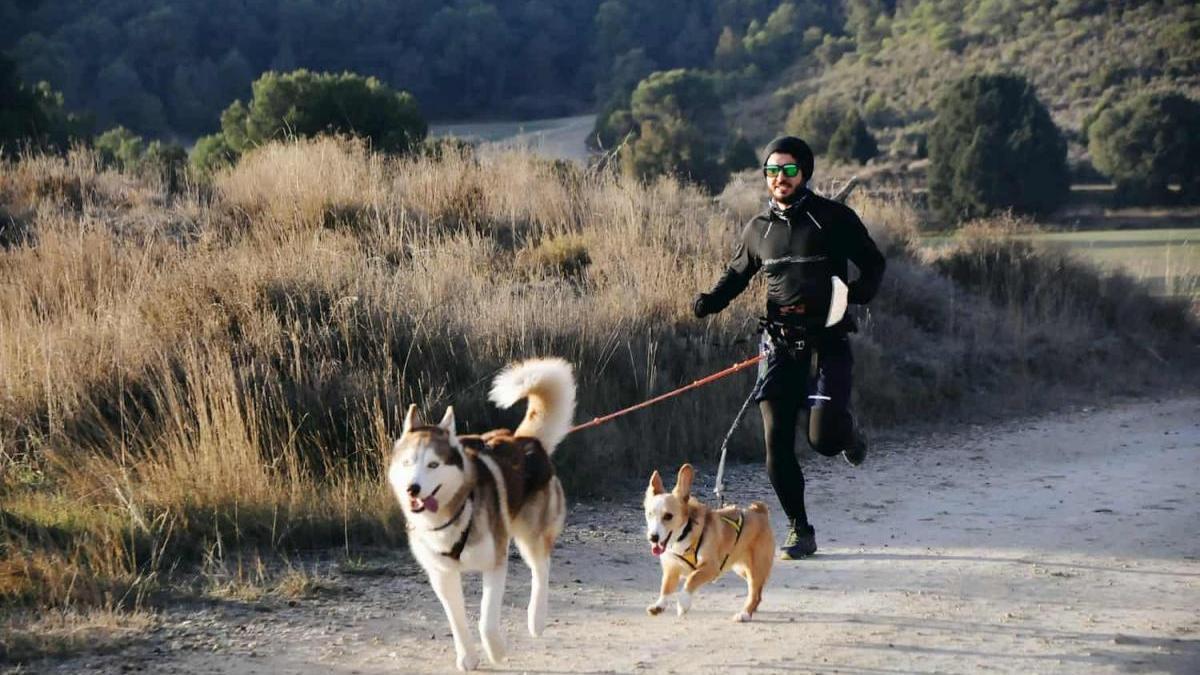 Deporte con mascotas: ideas para hacer ejercicio junto a tu perro