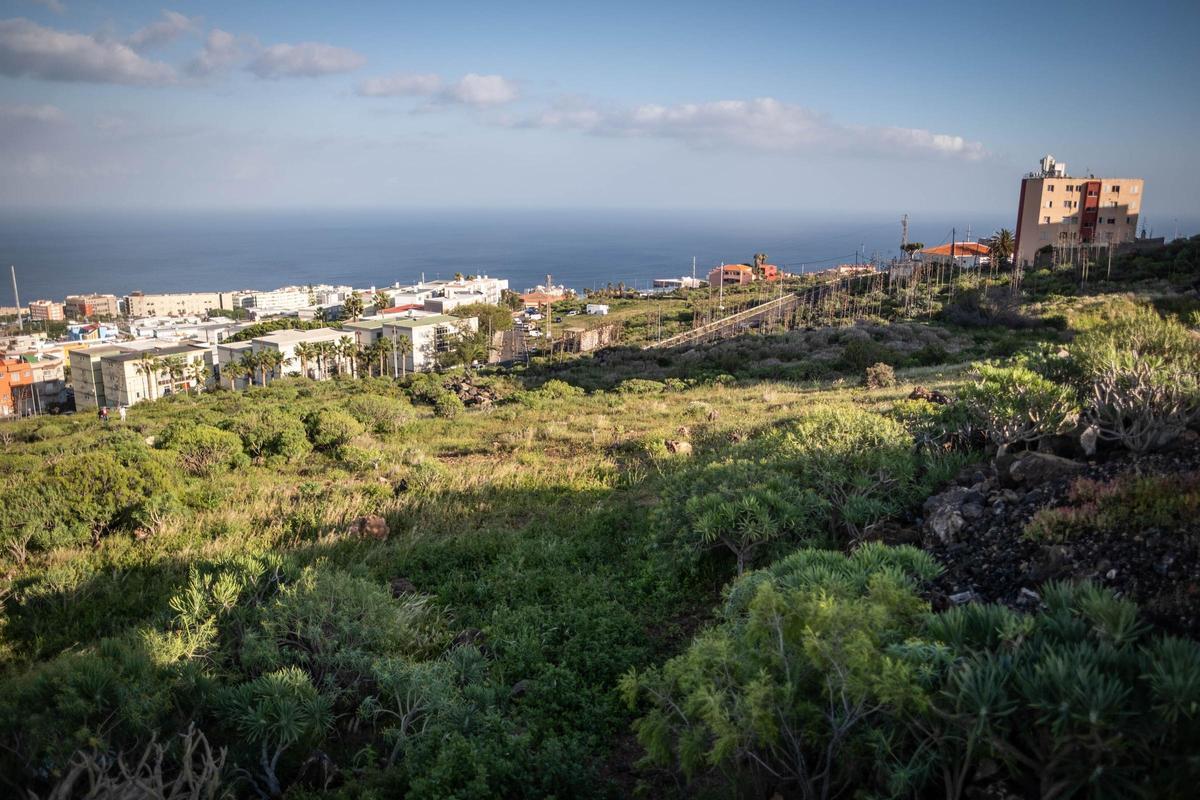 Solar en el que se construirán las viviendas sociales de Cuevas Blancas, en Santa Cruz de Tenerife.