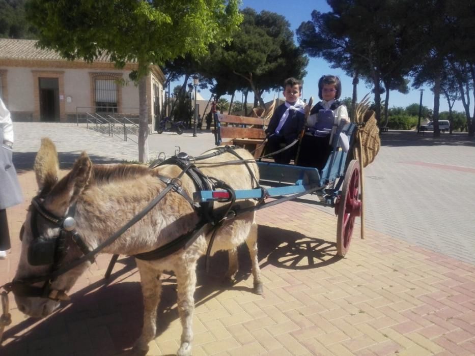 Fiesta de los Molinos en Torre Pacheco