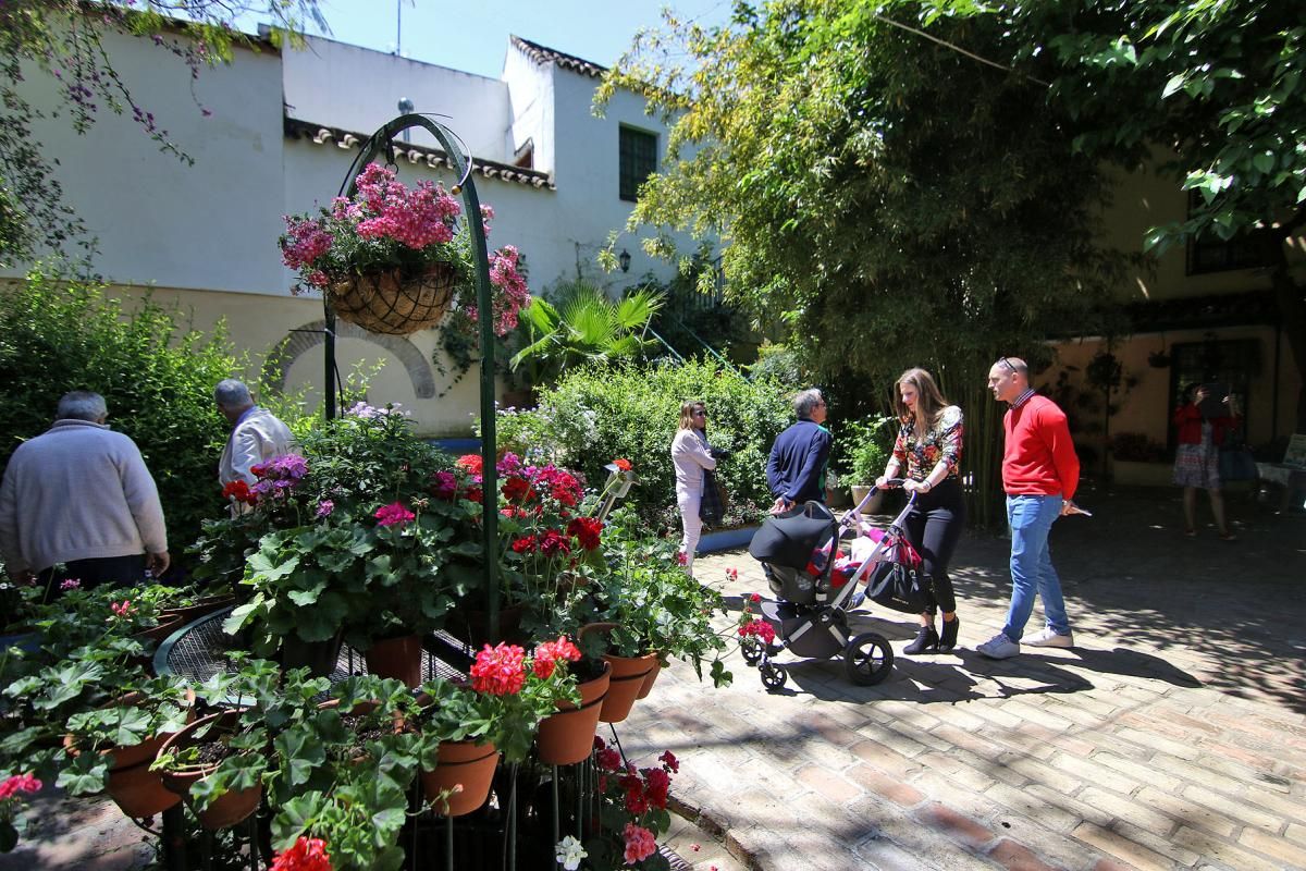 De patios por San Andrés y el Realejo