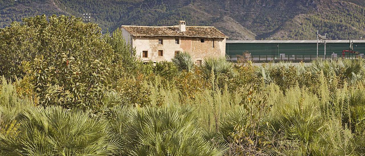 Terrenos que Merry del Val ha vendido en el término de Xàtiva, con la Casa Cuesa al fondo.