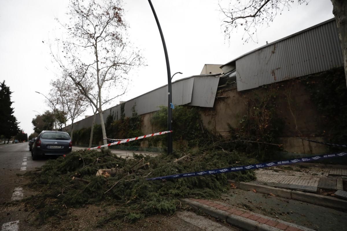 Daños causados por las fuertes rachas de viento registradas en Zaragoza por la borrasca 'Hortensia'