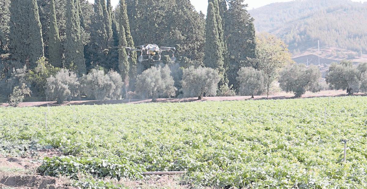 Un ejemplo de la actividad de esta empresa.