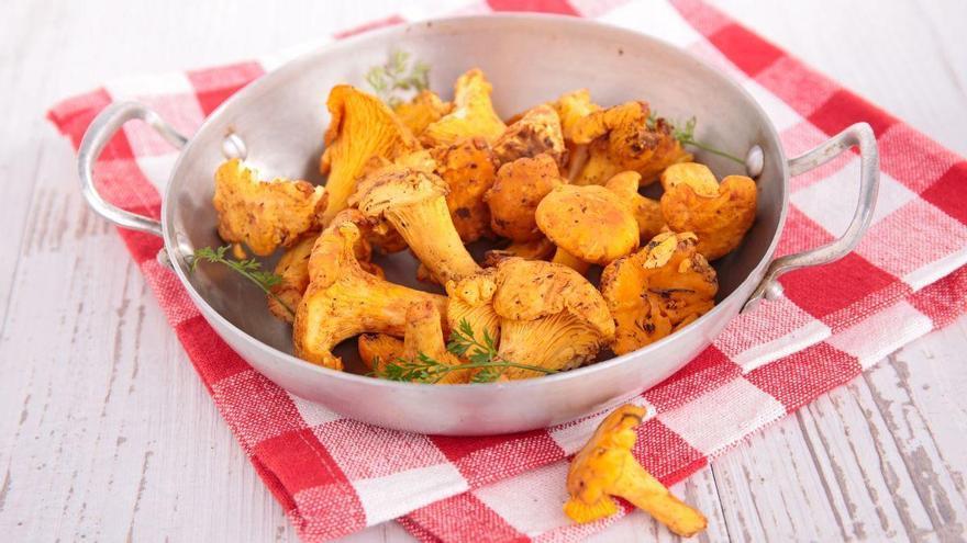 Cinco recetas irresistibles con setas de primavera para disfrutar de la temporada