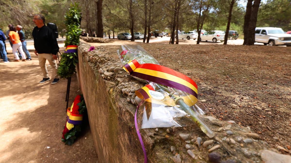 Flors al paredó de Paterna.