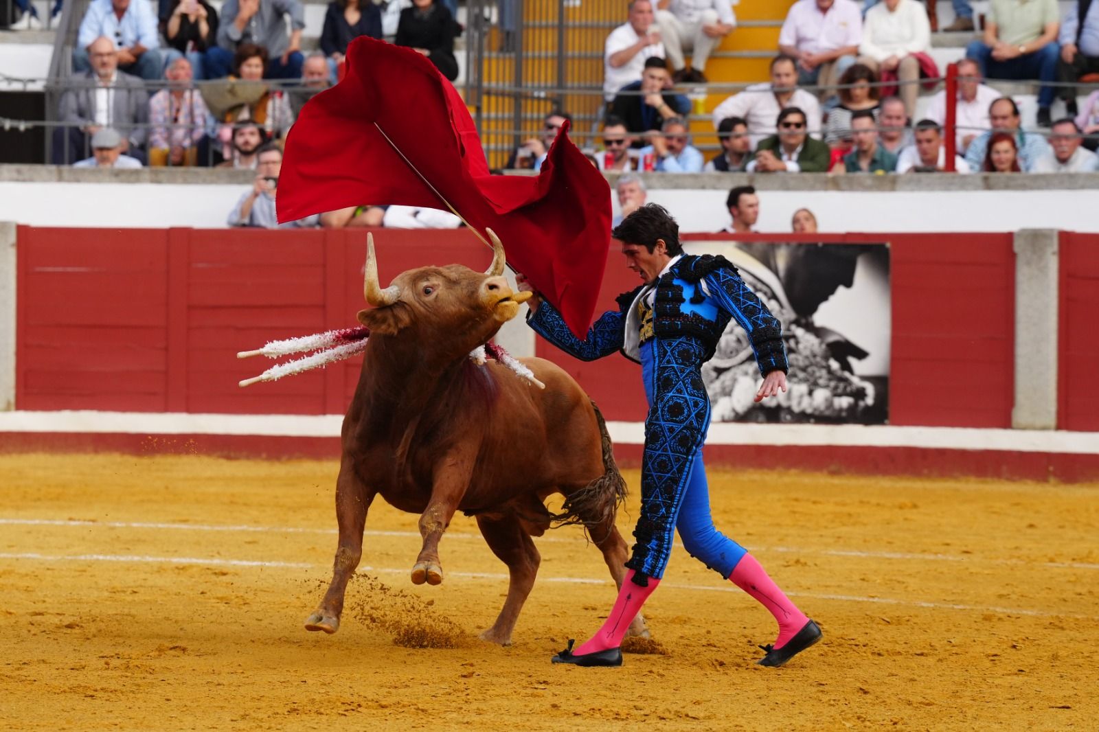 Castella, Manzanares y Roca Rey abren la puerta del Gallo de Los Llanos