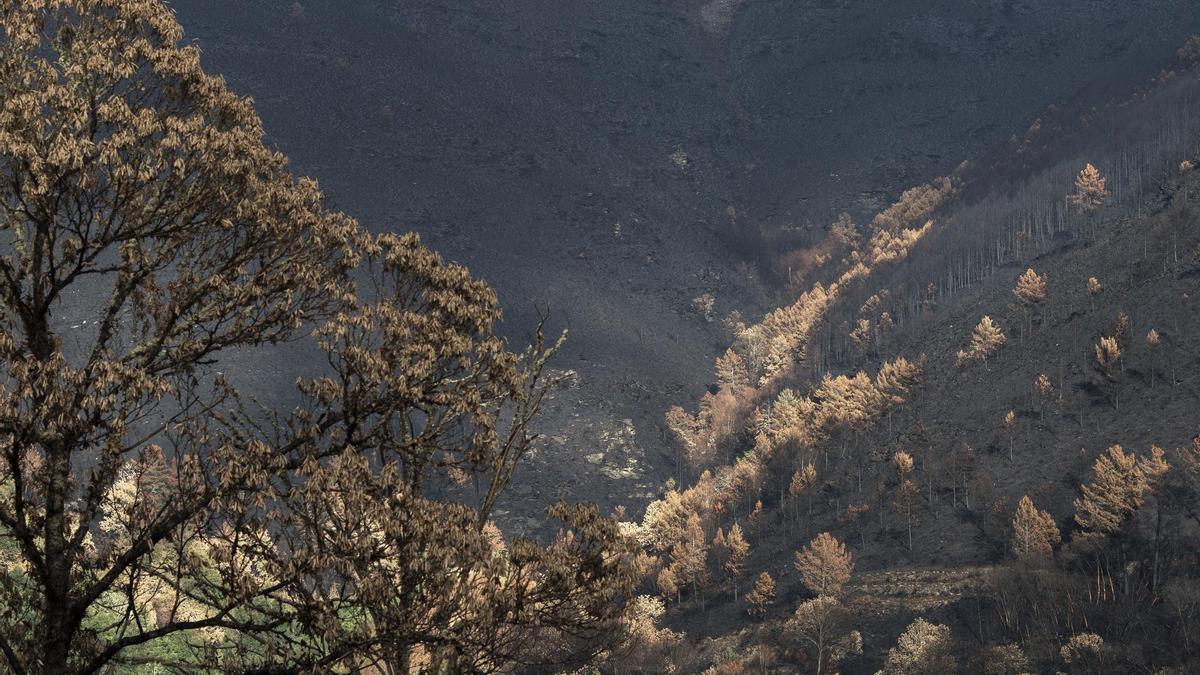 Extinguido el último gran incendio de Galicia.