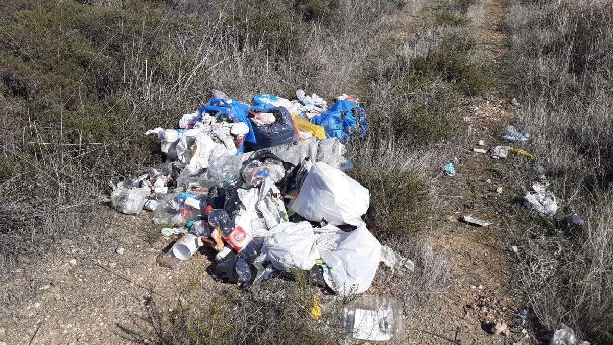 Basura en Arropé.