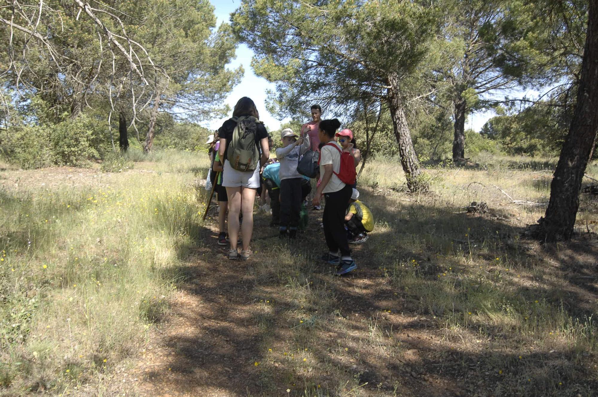 GALERÍA | "Érase una vez una senda verde" en Quiruelas de Vidriales
