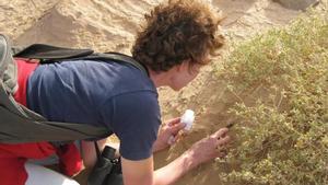 Una investigadora recopila muestras en el Montseny en busca de microbios.
