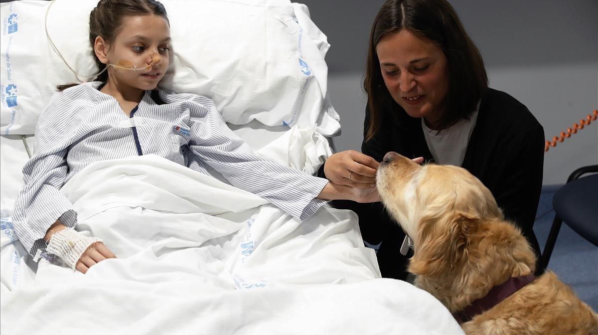 Una niña junto a un perro durante la demostración del proyecto ¿Huella de Colores, una terapia asistida con perros en la Unidad de Cuidados Intensivos Pediátricos.