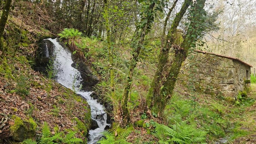 Mos impulsa la protección ambiental del entorno del río Salgueira y Monte de Pereiras
