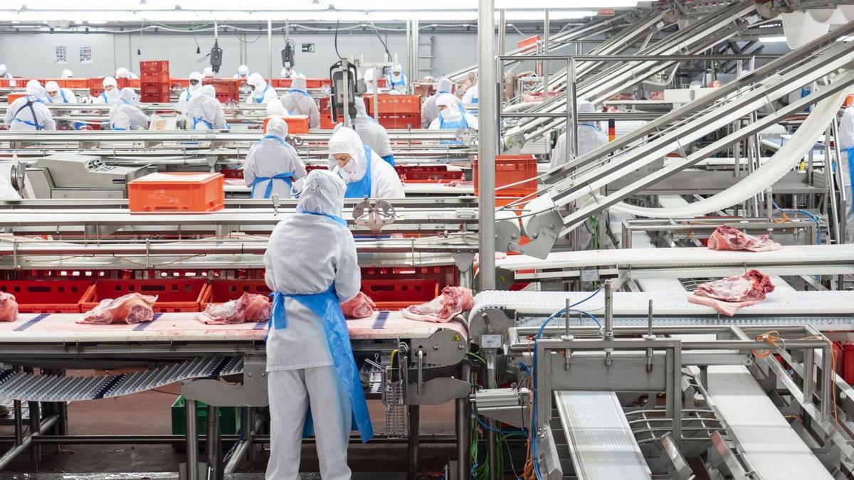 Sala de despiece de un matadero porcino de Aragón, de uno de los sectores más pujantes de la industria alimentaria de la comunidad. | EL PERIÓDICO