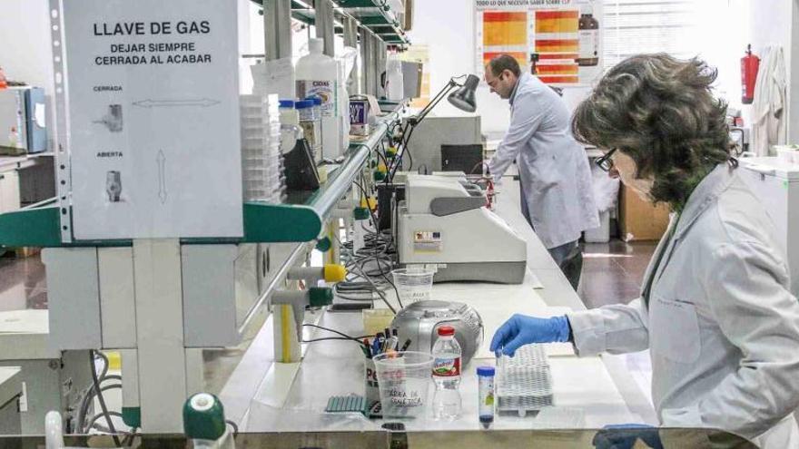 La UMH y la UA se quedan fuera del top 100 de las universidades en investigación