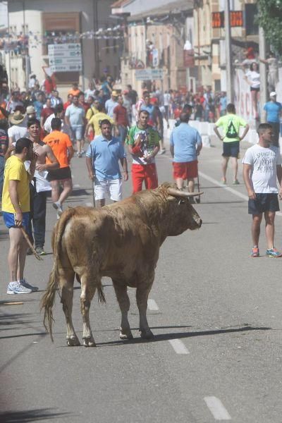 Fiestas en Zamora: Segudos espantes de Fuentesaúco