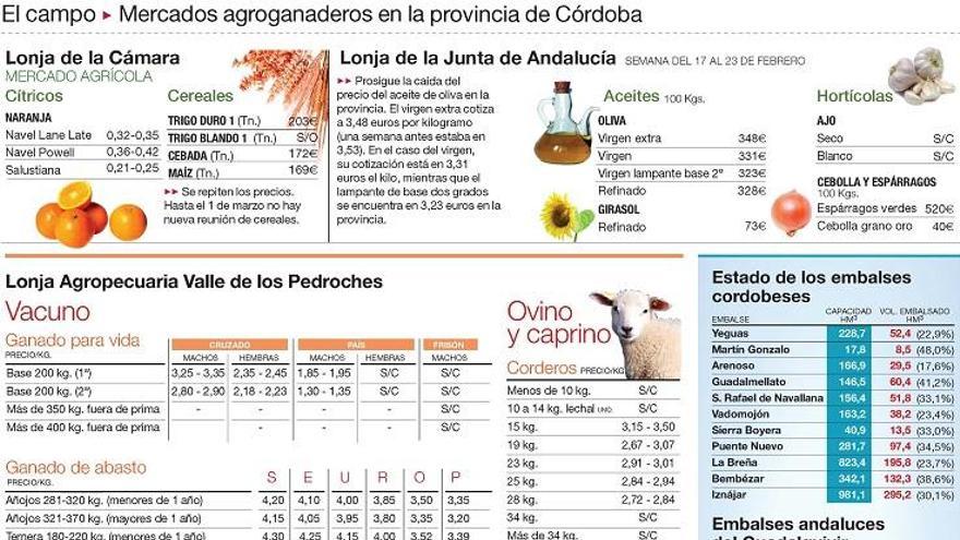 Generalizada la siembra del girasol en la Campiña