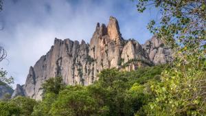 La població de cabra salvatge de Montserrat toca sostre