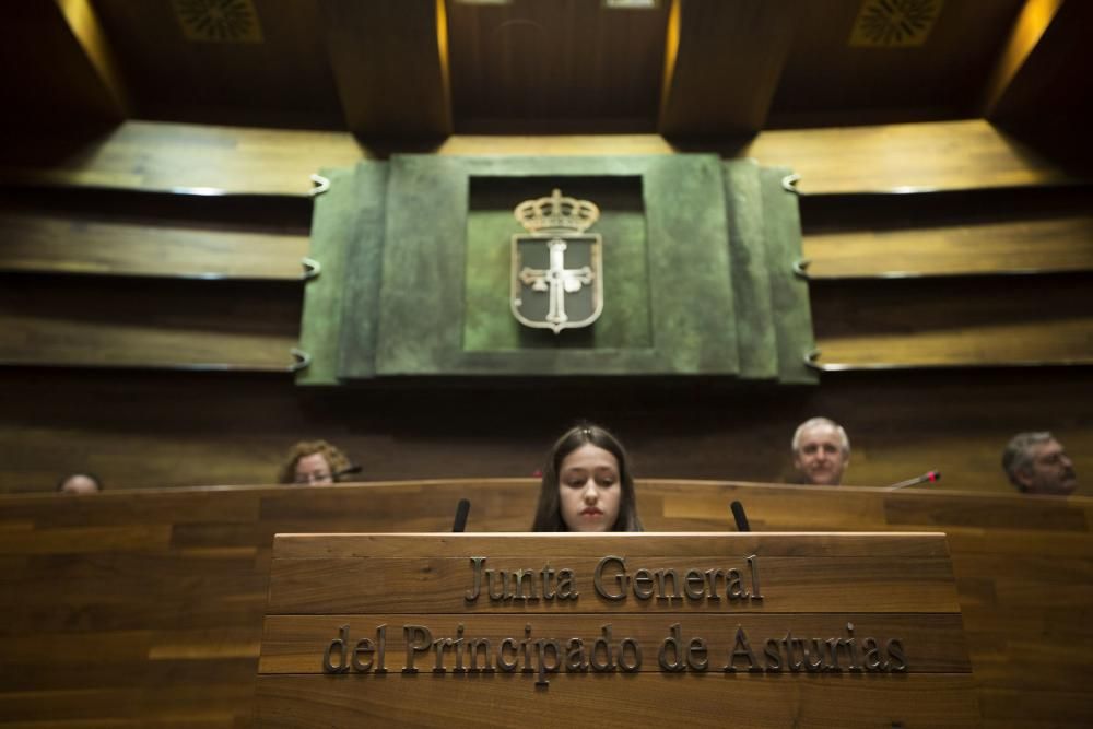 Visita escolar a la Junta General