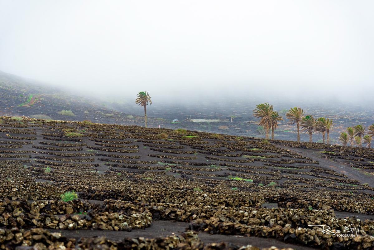 Lluvias en el municipio de Yaiza, en Lanzarote (13/01/25) Lluvias en el municipio de Yaiza, en Lanzarote (13/01/25)