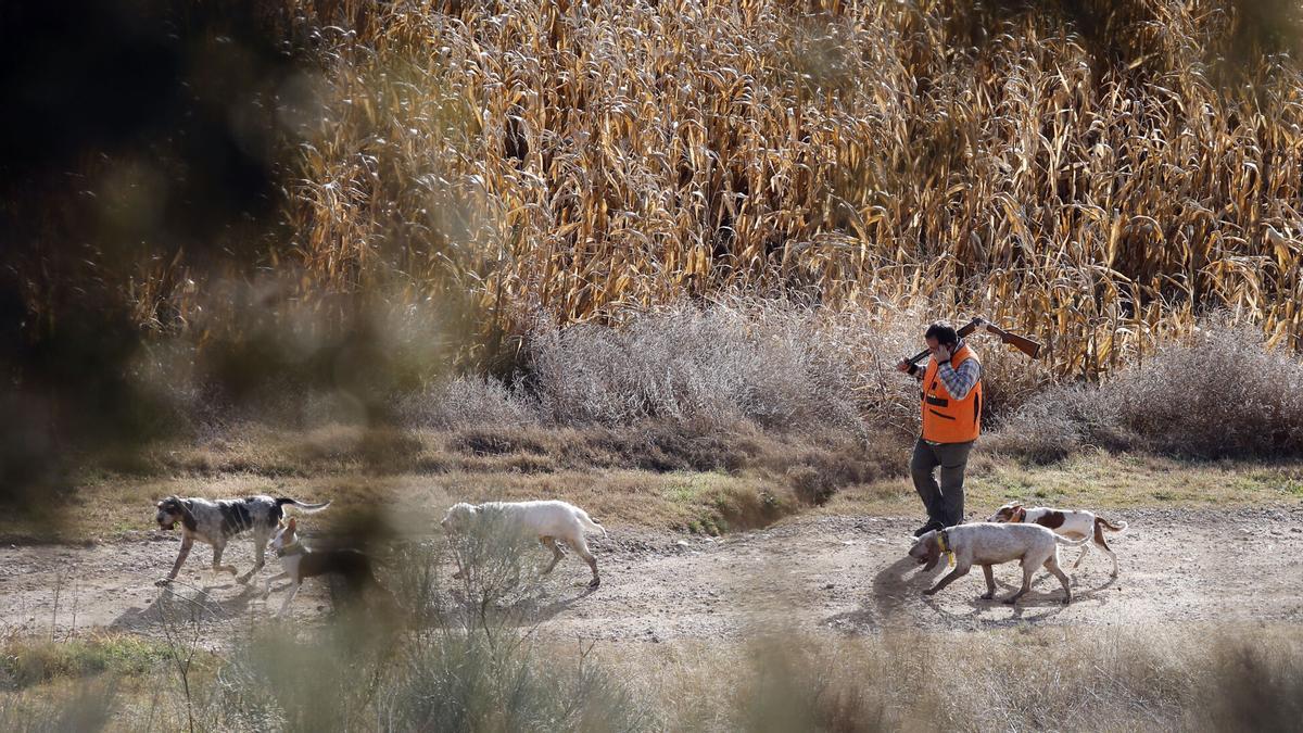 Un cazador, en una batida reciente en la provincia de Huesca.