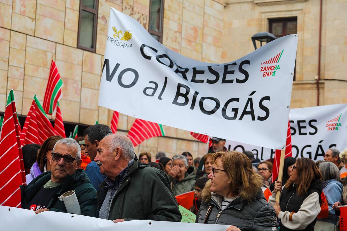 Ni molinos ni biogás: la oposición al nuevo mapa energético convoca a un millar de zamoranos en la capital