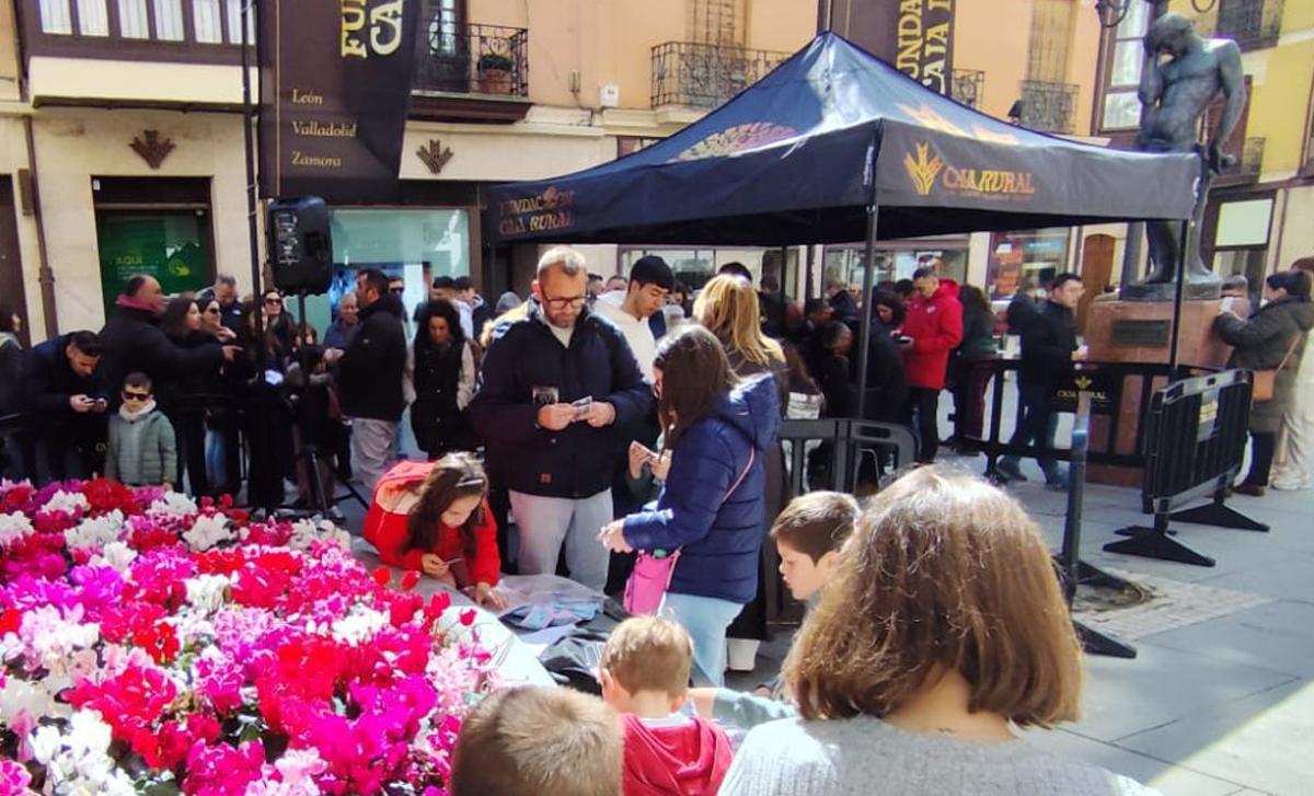 Coleccionistas congregados en la plaza de Sagasta en el intercambio de cromos. | ALBA PRIETO
