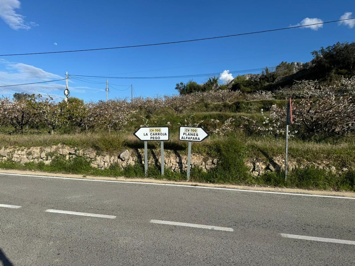 Florecen los cerezos: paisaje moteado de blanco en la Vall de Gallinera (imágenes)