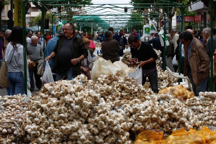 Fiestas San Pedro 2017: Feria del Ajo