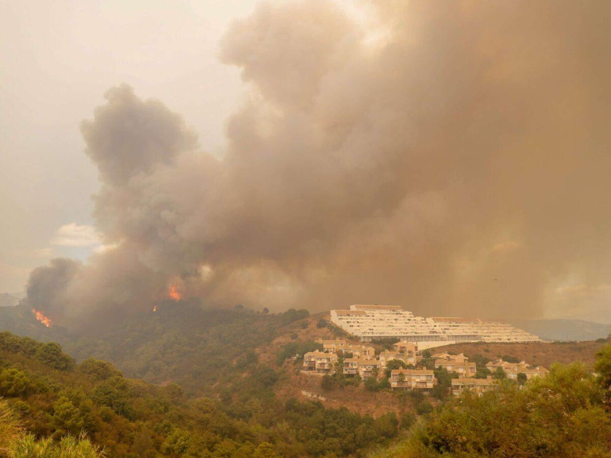 Sierra Bermeja: ¿Y después del superincendio, qué?