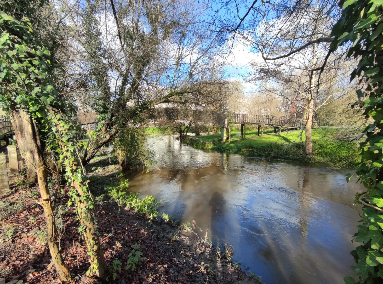 El río Mendo de Betanzos al límite de su caudal