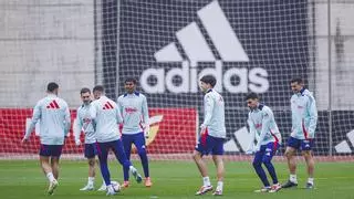 La plaga de lesiones azota a la selección española