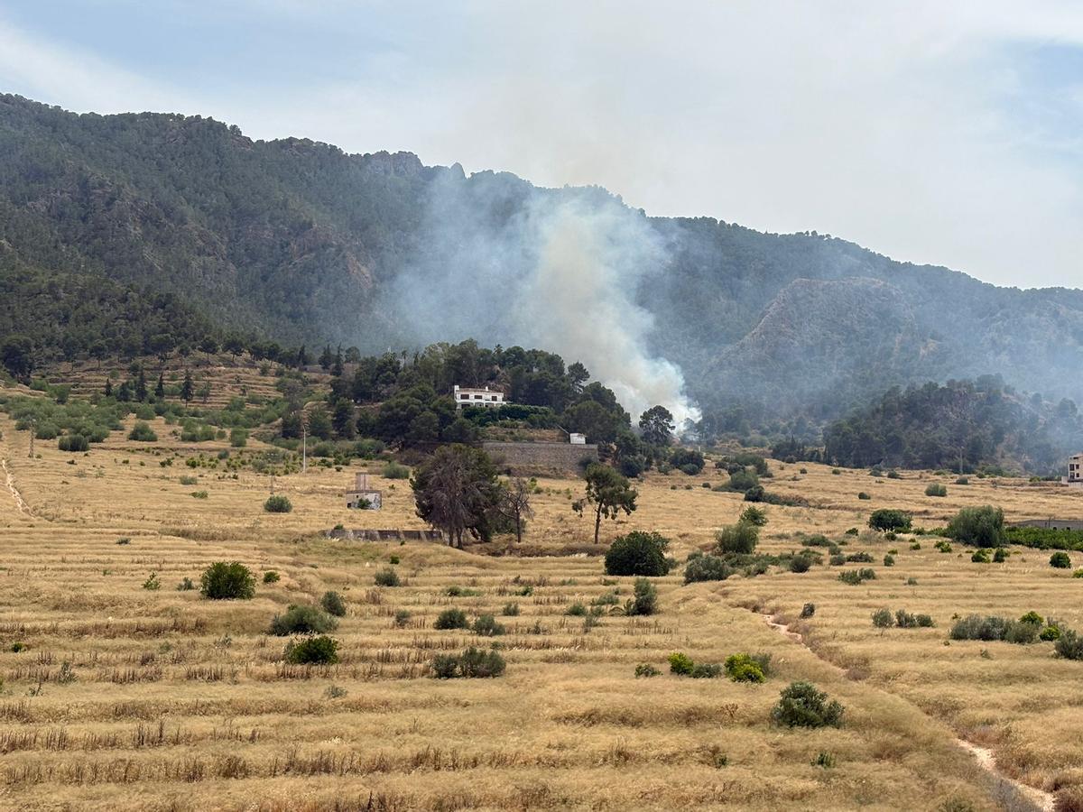 Las imágenes del grave incendio forestal en Los Garres (Murcia)