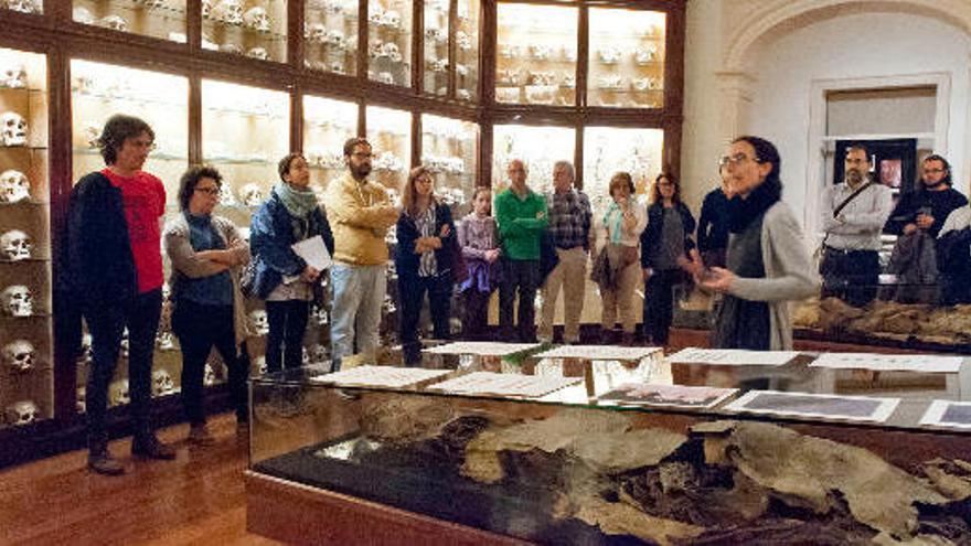 Instante de una visita guiada a la exposición permanente en la Sala Verneau del Museo Canario.