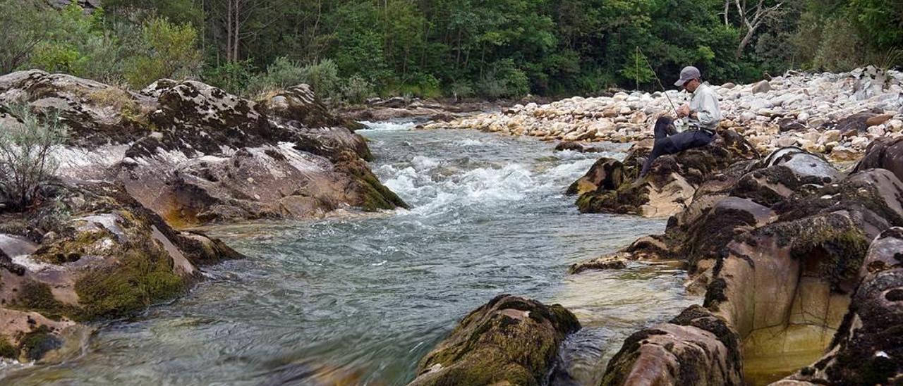 Un pescador en el coto de Estayos del Sella.