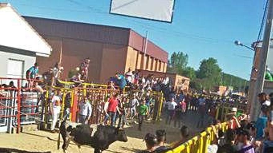 El utrero de los Hermanos Bragado corrido por el circuito de Santa Cristina el sábado por la tarde.