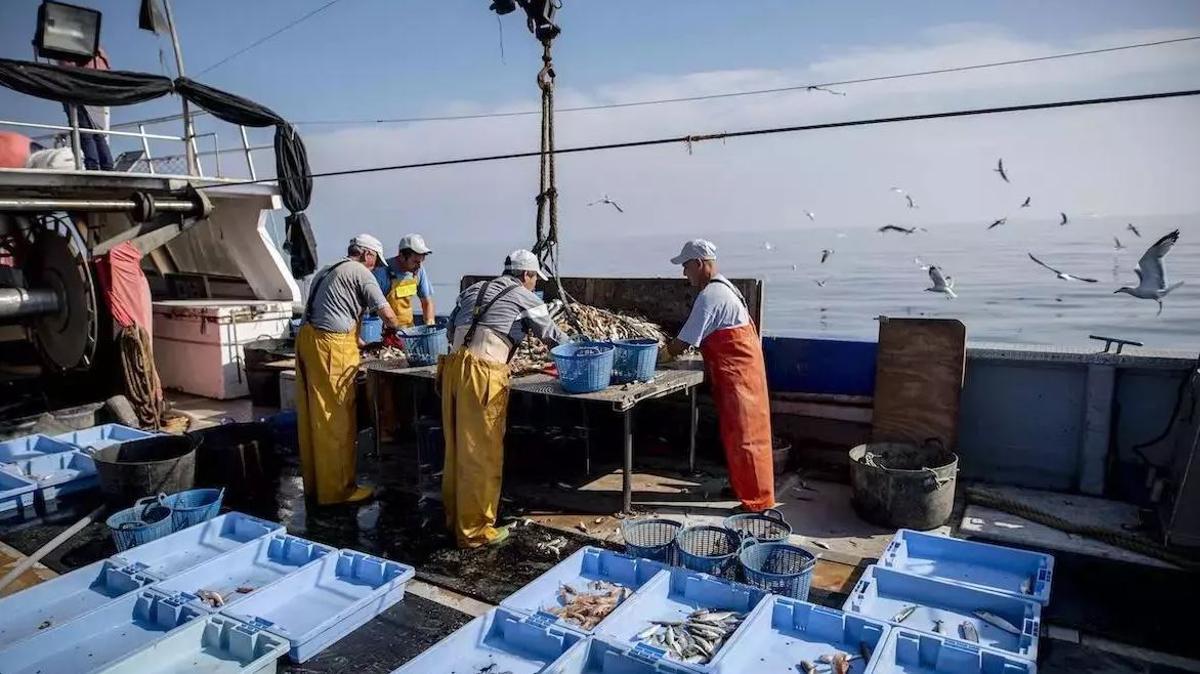 Imagen de pescadores en plena faena.