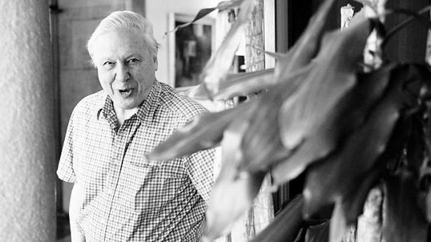 El naturalista David Attenborough, premio «Príncipe de Asturias» de Ciencias Sociales, entre las plantas que decoran el hotel de la Reconquista.