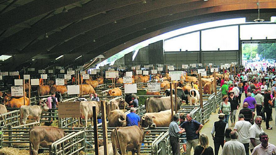 Vista de varias reses en el Mercado Nacional de Ganado de Pola de Siero en una edición anterior de Agrosiero.