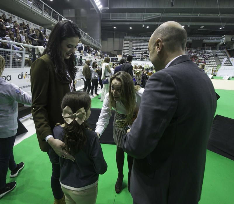 Homenaje a las gimnastas olímpicas alicantinas